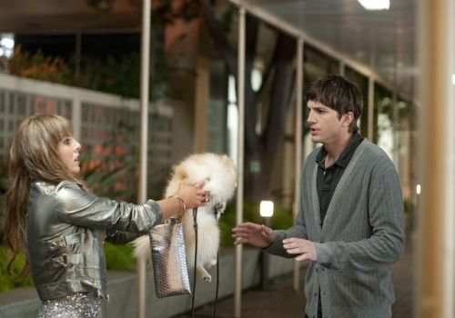 遗产继承伴侣怎么分配